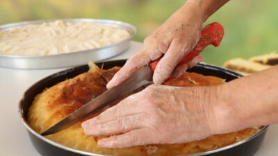 16. Kırklareli Yayla, Bolluk, Bereket, Hasat ve Bağ Bozumu Şenlikleri'nde