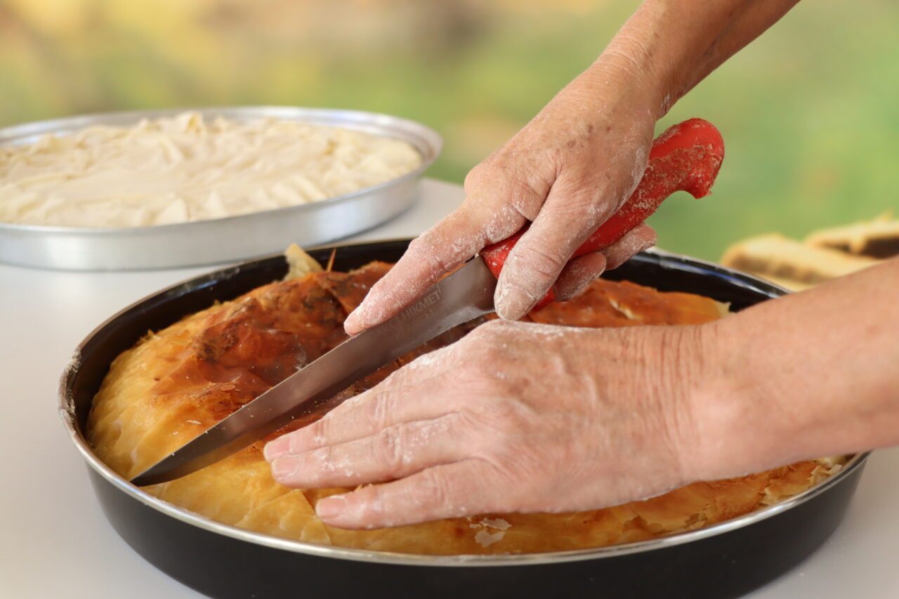 16. Kırklareli Yayla, Bolluk, Bereket, Hasat ve Bağ Bozumu Şenlikleri'nde