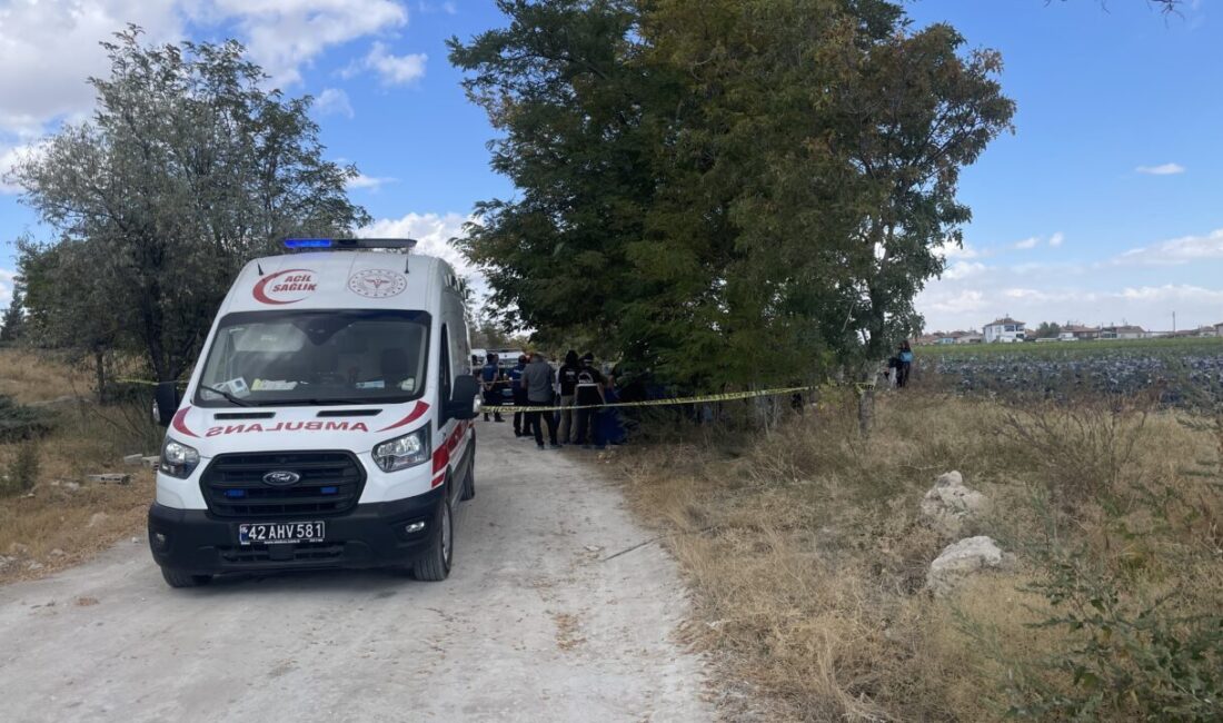 Konya merkez Meram ilçesi Ali Ulvi Kurucu Mahallesi Karaman Caddesi'nde,