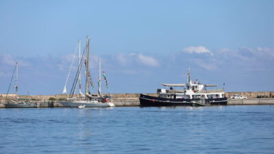 Mağrip Sumud Konvoyu Yönetim Kurulu Üyesi Halid Bucuma, Tunus’un Binzert