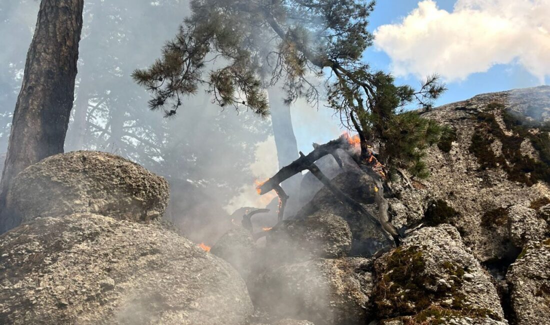 Antalya'nın Manavgat ilçesinde çıkan orman yangını kontrol altına alındı.