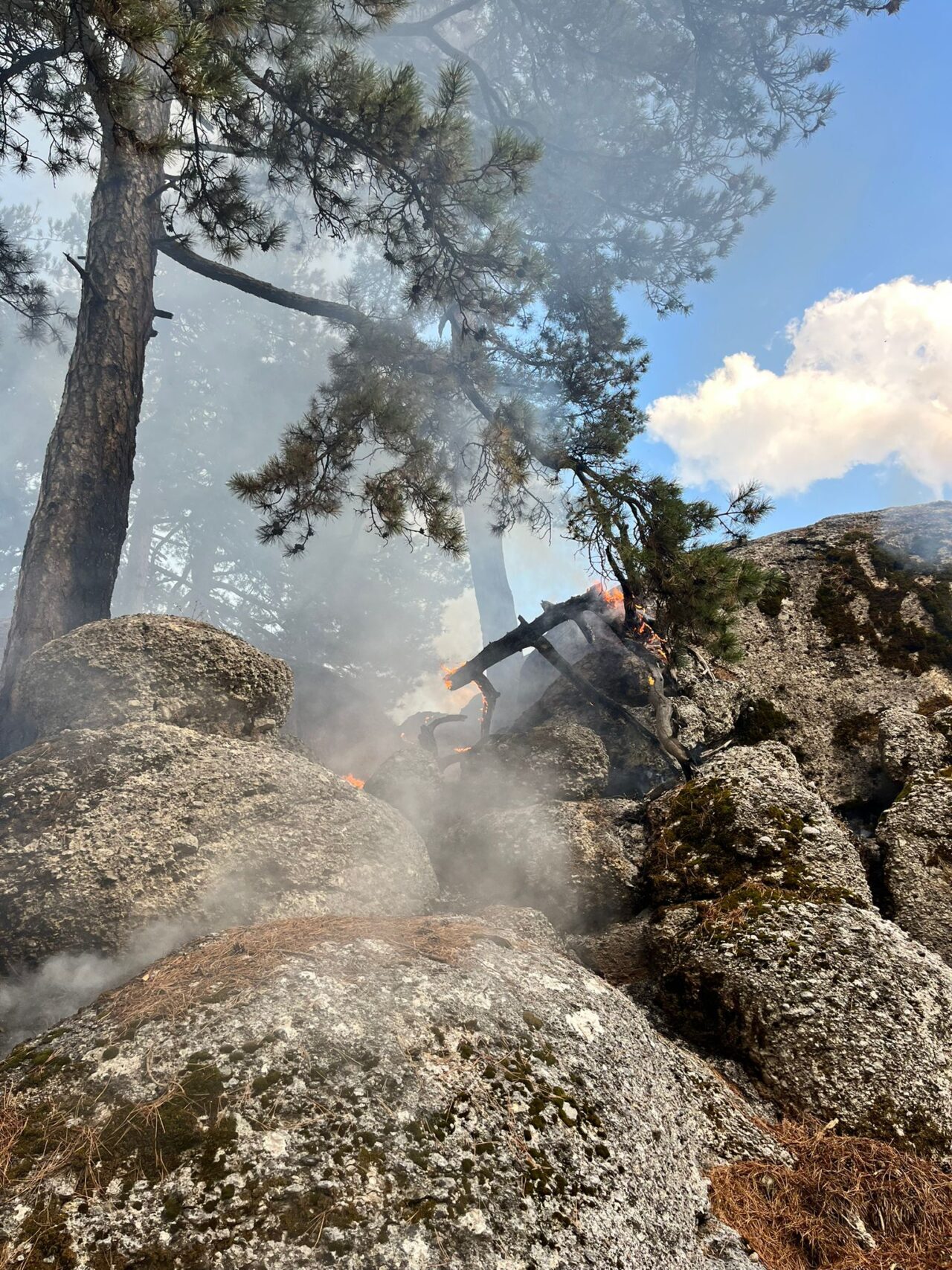 Antalya'nın Manavgat ilçesinde çıkan orman yangını kontrol altına alındı.