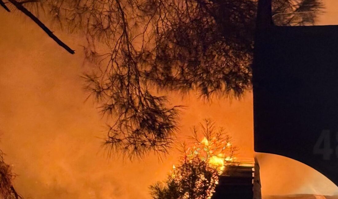 Muğla'nın Ula ilçesinde çıkan orman yangını karadan müdahaleyle kontrol altına