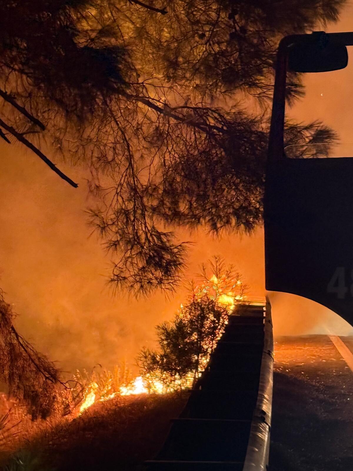 Muğla'nın Ula ilçesinde çıkan orman yangını karadan müdahaleyle kontrol altına