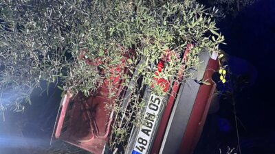  Muğla'nın Milas ilçesinde otomobilin şarampole devrilerek ağaca çarpması sonucu 2