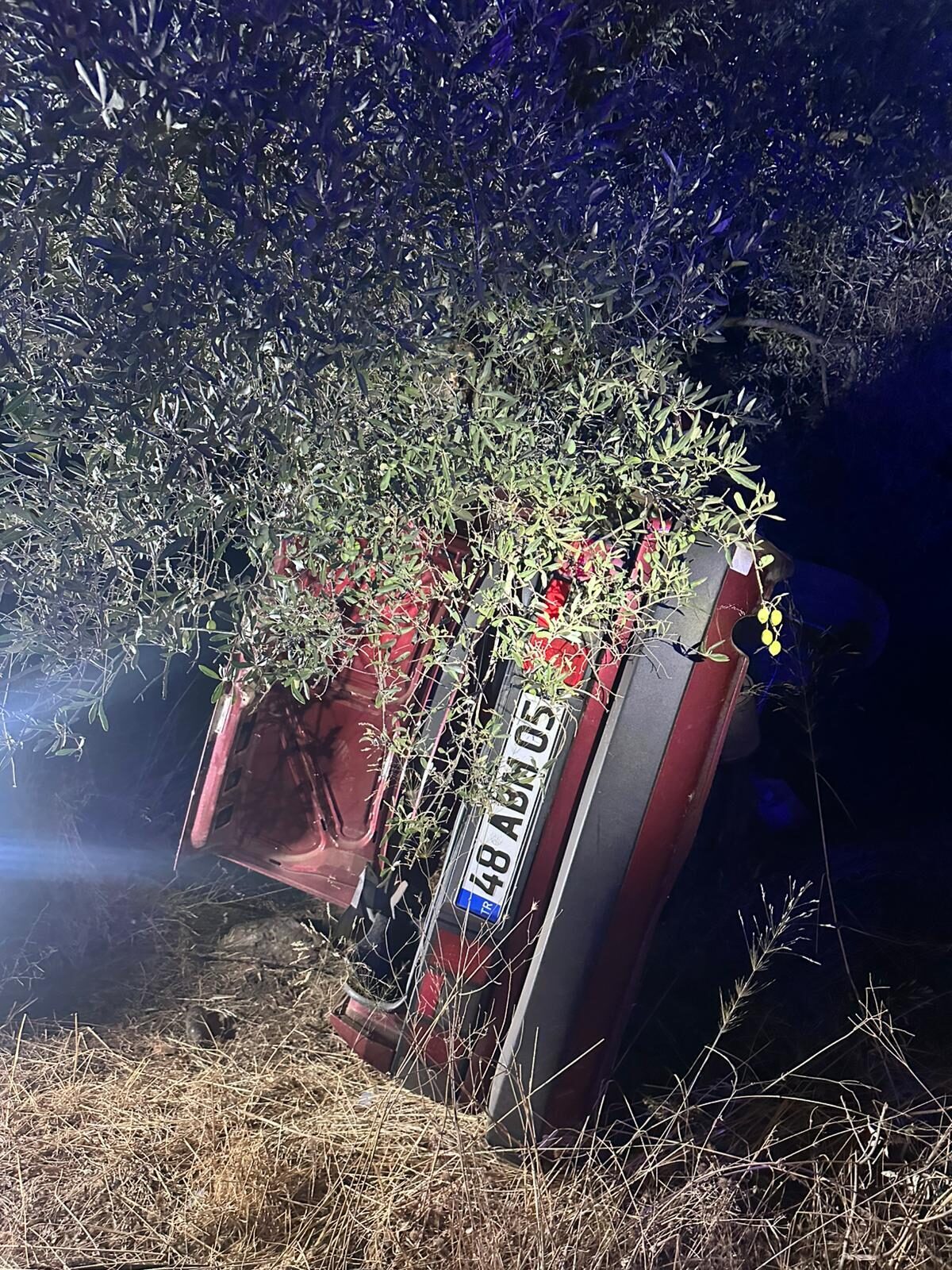  Muğla'nın Milas ilçesinde otomobilin şarampole devrilerek ağaca çarpması sonucu 2