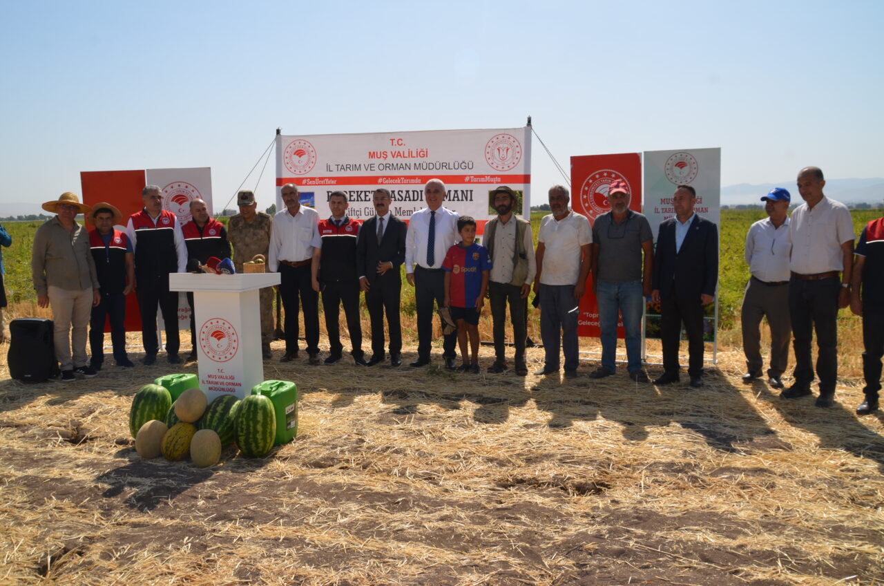 Muş'ta çiftçiler tarafından 40 bin dekar alana ekimi yapılan karpuzdan