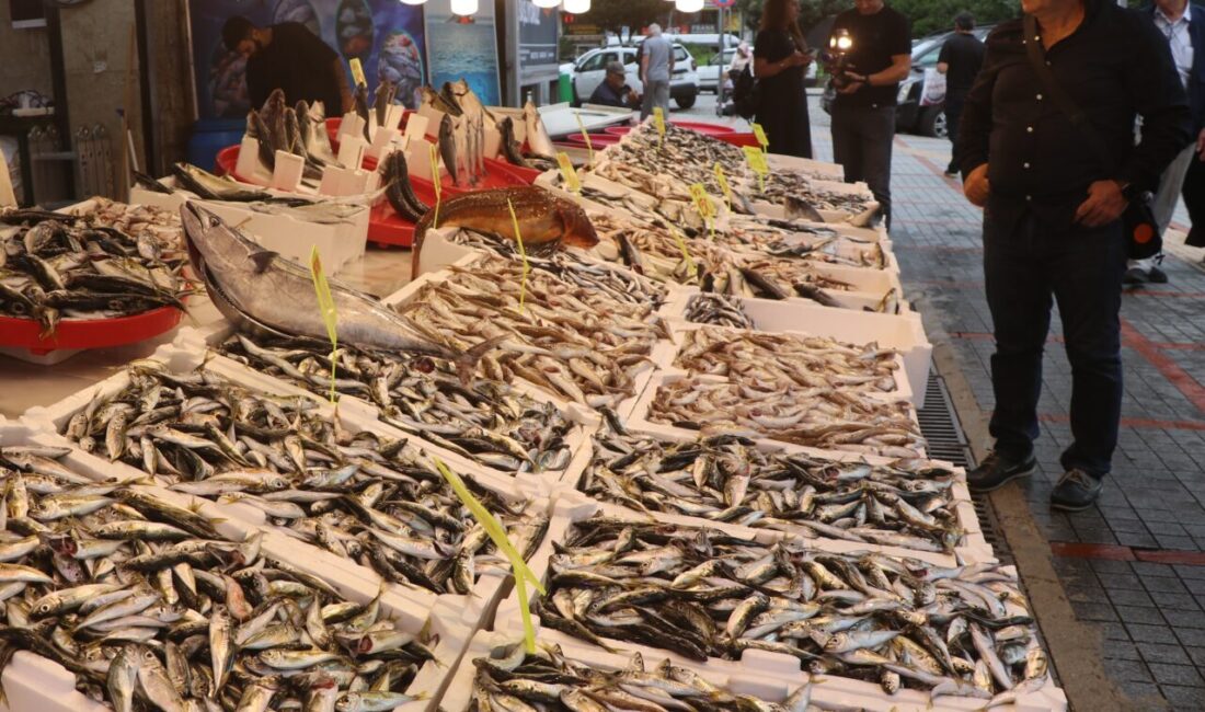 Rize'de balıkçı tezgahlarında yaşanan bolluk esnafın ve vatandaşın yüzünü güldürdü.