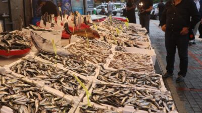 Rize'de balıkçı tezgahlarında yaşanan bolluk esnafın ve vatandaşın yüzünü güldürdü.