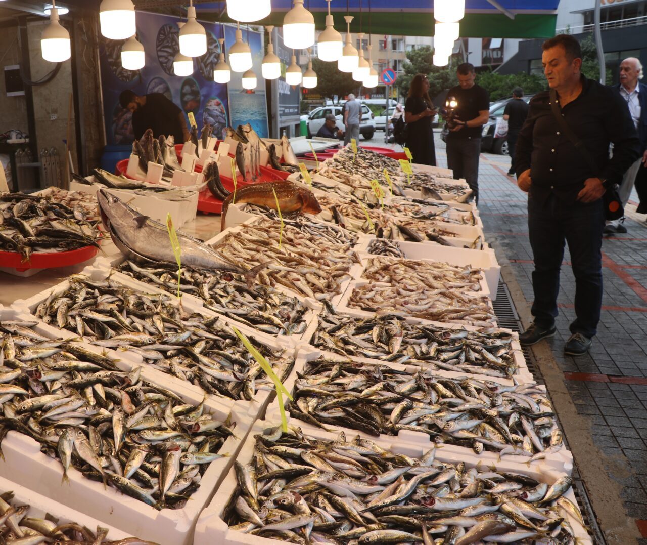 Rize'de balıkçı tezgahlarında yaşanan bolluk esnafın ve vatandaşın yüzünü güldürdü.