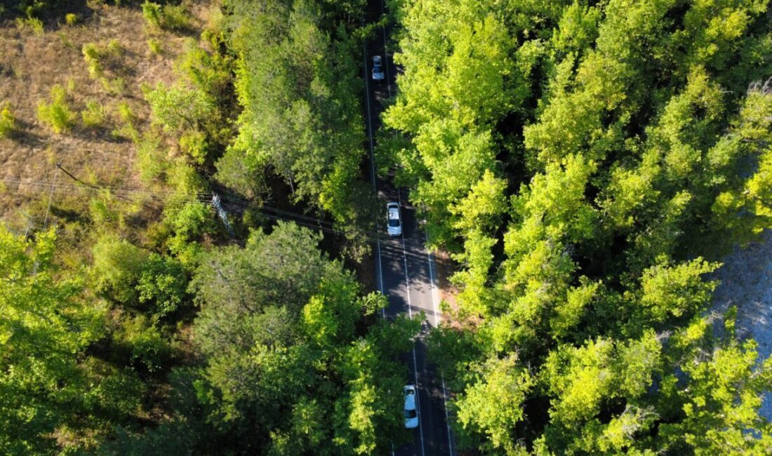 Karabük'ün UNESCO Dünya Miras Listesi'ndeki Safranbolu ilçesinde bulunan "ağaç tüneli",