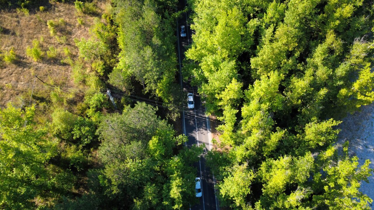 Karabük'ün UNESCO Dünya Miras Listesi'ndeki Safranbolu ilçesinde bulunan "ağaç tüneli",