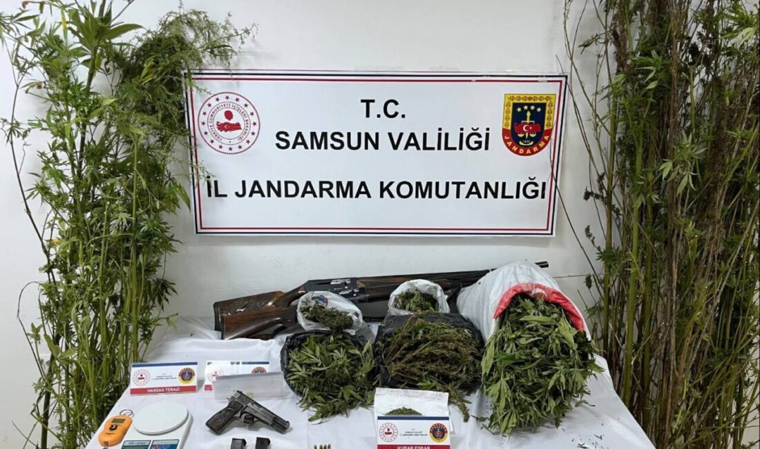  Samsun'un Salıpazarı ilçesinde evinde 9 kilo 660 gram esrar ele