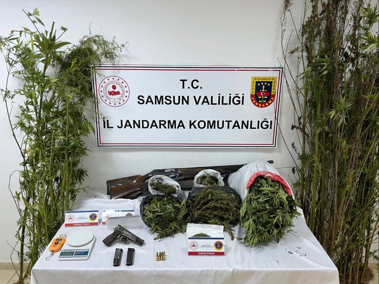  Samsun'un Salıpazarı ilçesinde evinde 9 kilo 660 gram esrar ele