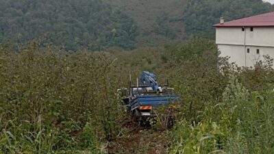 Samsun’un Salıpazarı ilçesinde kamyonetin fındık bahçesine yuvarlanması sonucu 3 kişi