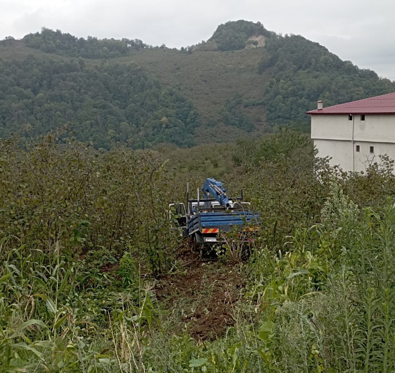 Samsun’un Salıpazarı ilçesinde kamyonetin fındık bahçesine yuvarlanması sonucu 3 kişi