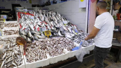 Denizlerde av yasağının sona ermesiyle balık tezgahlarında bolluk yaşanıyor.