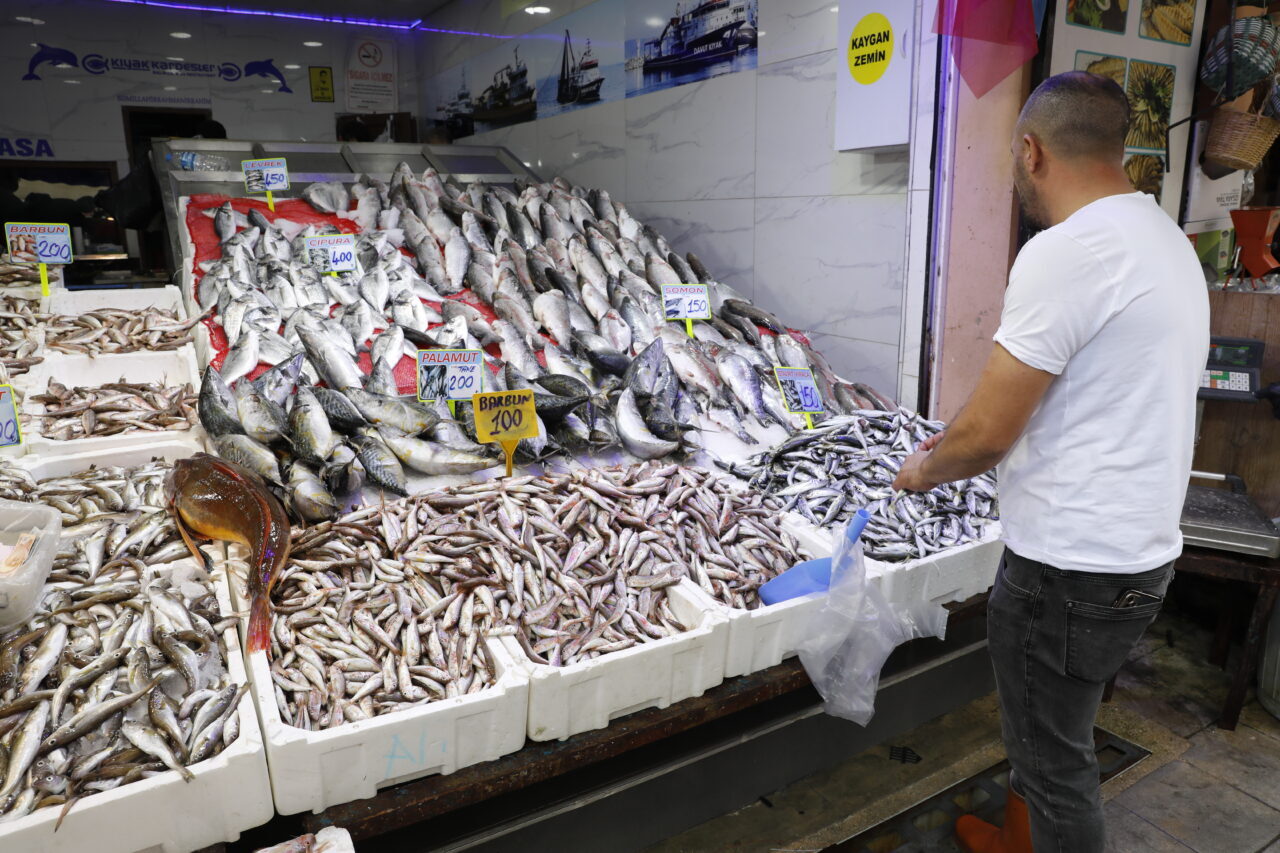 Denizlerde av yasağının sona ermesiyle balık tezgahlarında bolluk yaşanıyor.