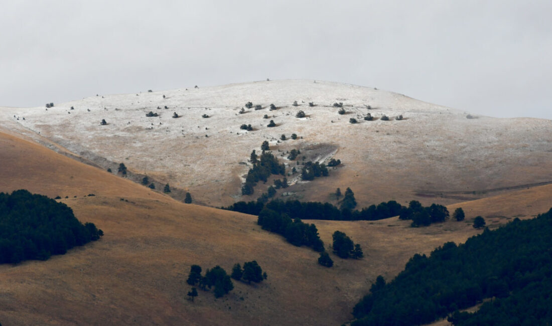 Kars'ın Sarıkamış ilçesinin yüksek kesimlerinde kar etkili oldu.
