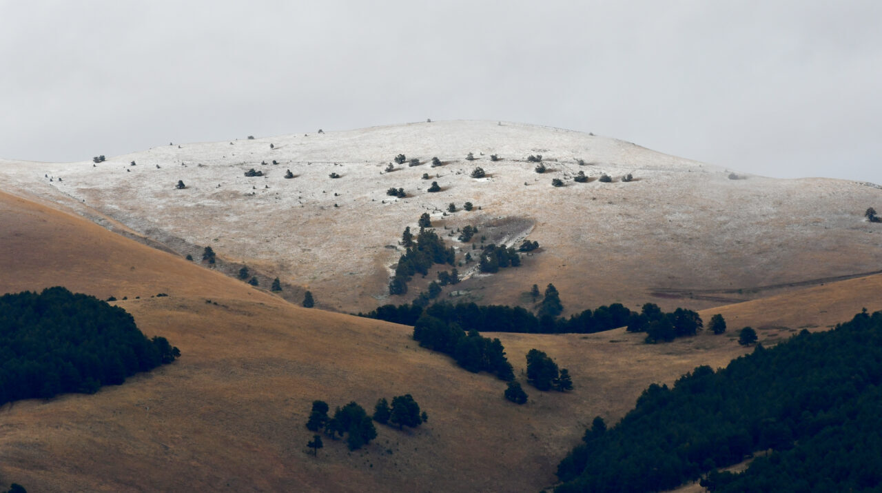 Kars'ın Sarıkamış ilçesinin yüksek kesimlerinde kar etkili oldu.