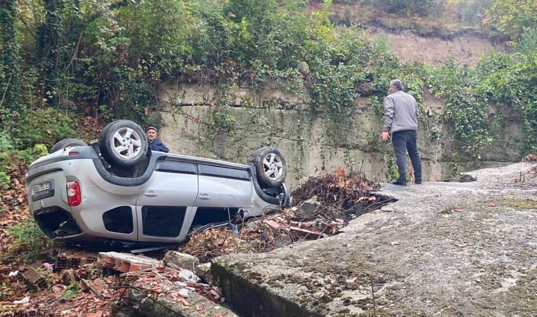Sinop'un Türkeli ilçesinde, otomobilin istinat duvarına çarpması sonucu sürücü yaralandı.