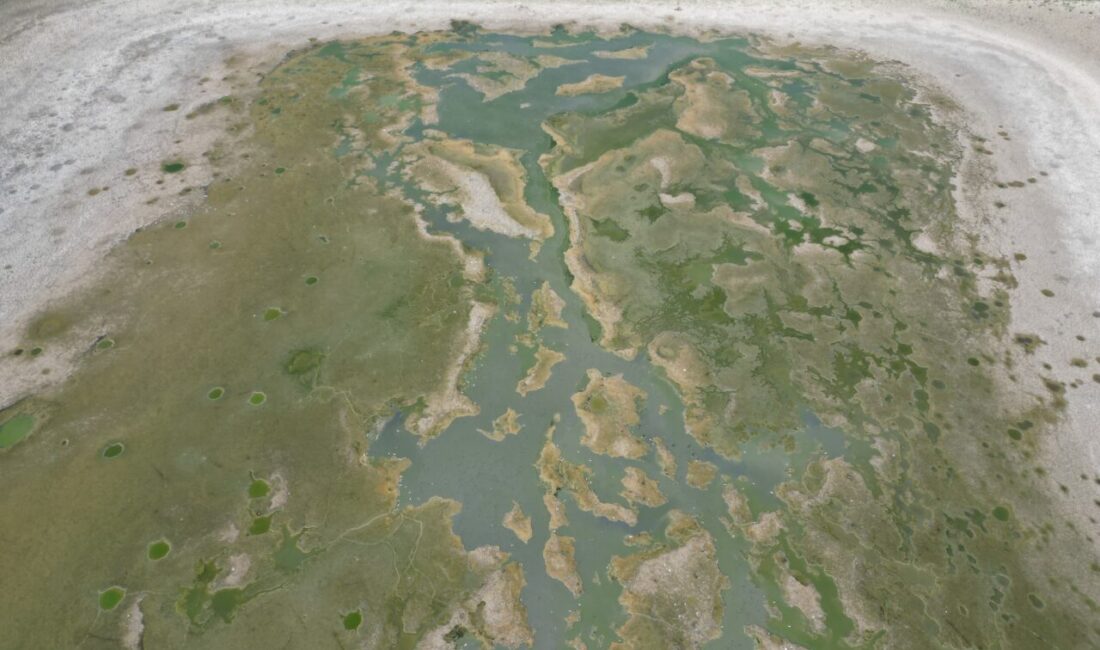 Tekirdağ'da Yeşilsırt Göleti, kuraklık nedeniyle kuruma noktasına geldi.