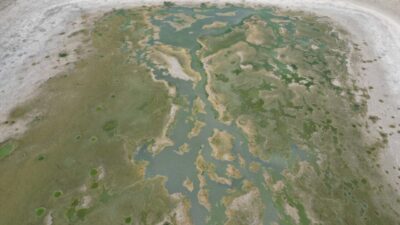 Tekirdağ'da Yeşilsırt Göleti, kuraklık nedeniyle kuruma noktasına geldi.