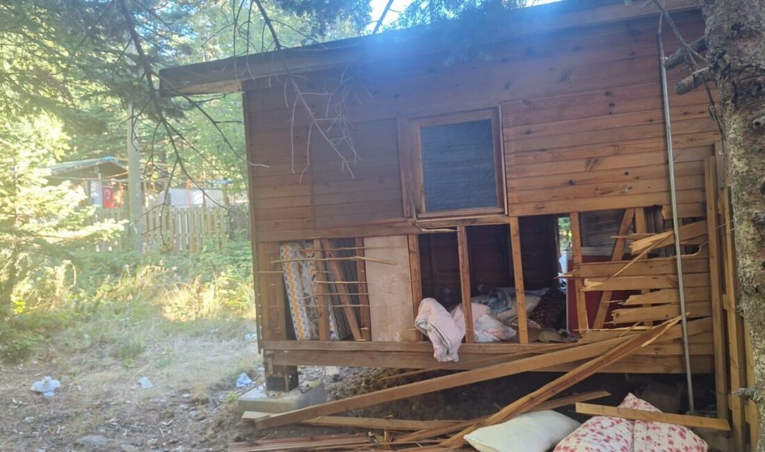 Bursa Uludağ'da ayının girdiği barakada hasar meydana geldi.