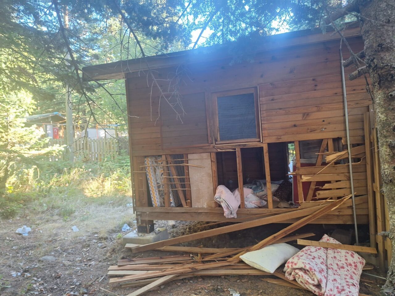 Bursa Uludağ'da ayının girdiği barakada hasar meydana geldi.