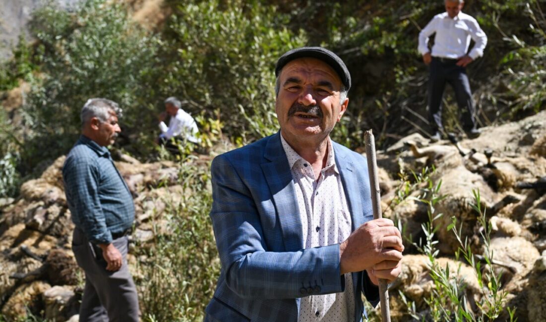 Van'ın Çatak ilçesinin Yukarı Narlıca Mahallesi'nden Çılga Mahallesi'ne götürülen yaklaşık