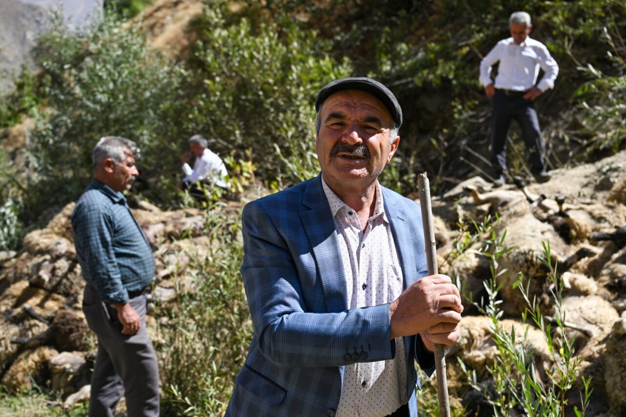 Van'ın Çatak ilçesinin Yukarı Narlıca Mahallesi'nden Çılga Mahallesi'ne götürülen yaklaşık