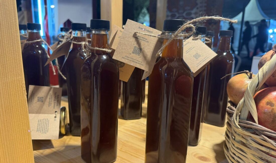  Cumhurbaşkanı Recep Tayyip Erdoğan'ın eşi Emine Erdoğan'ın himayelerinde, Sanayi ve