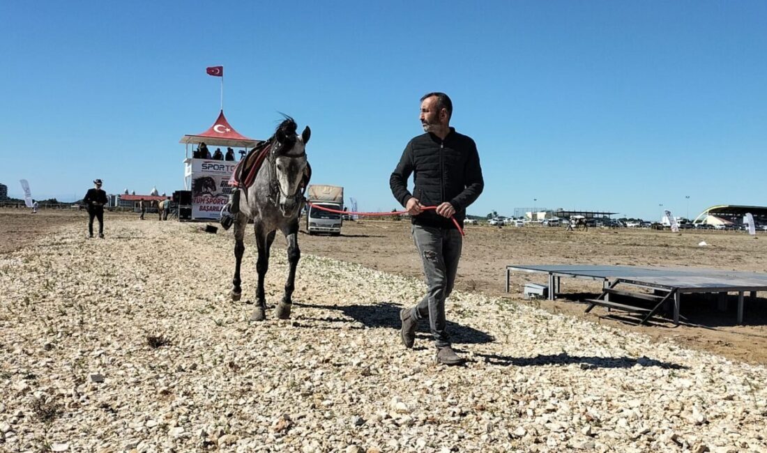 Antalya'nın Manavgat ilçesinde, 16. Manavgat Side Geleneksel Rahvan At Yarışları