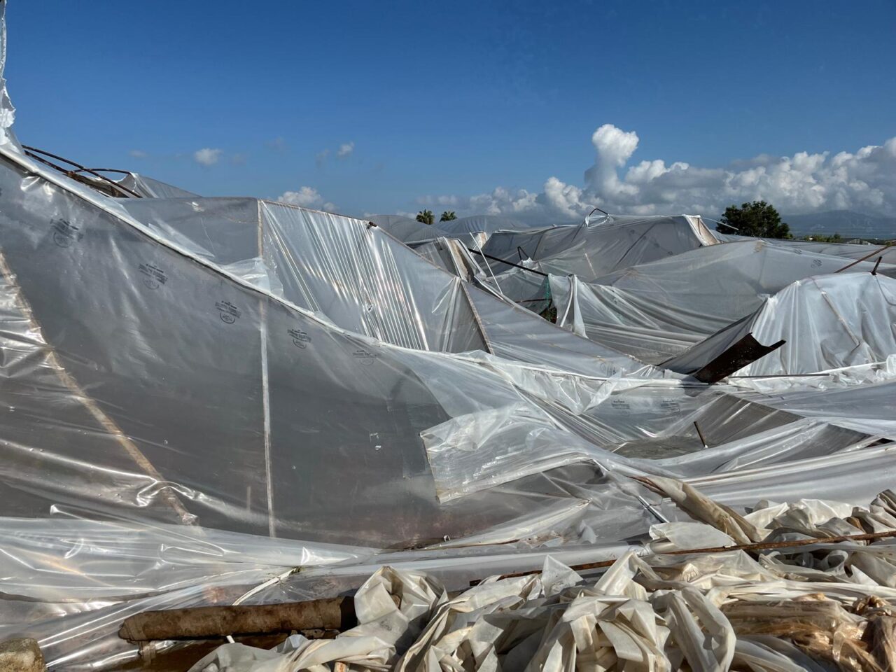 Antalya'nın Serik ilçesinde fırtına ve yağıştan zarar gören seralarda hasar