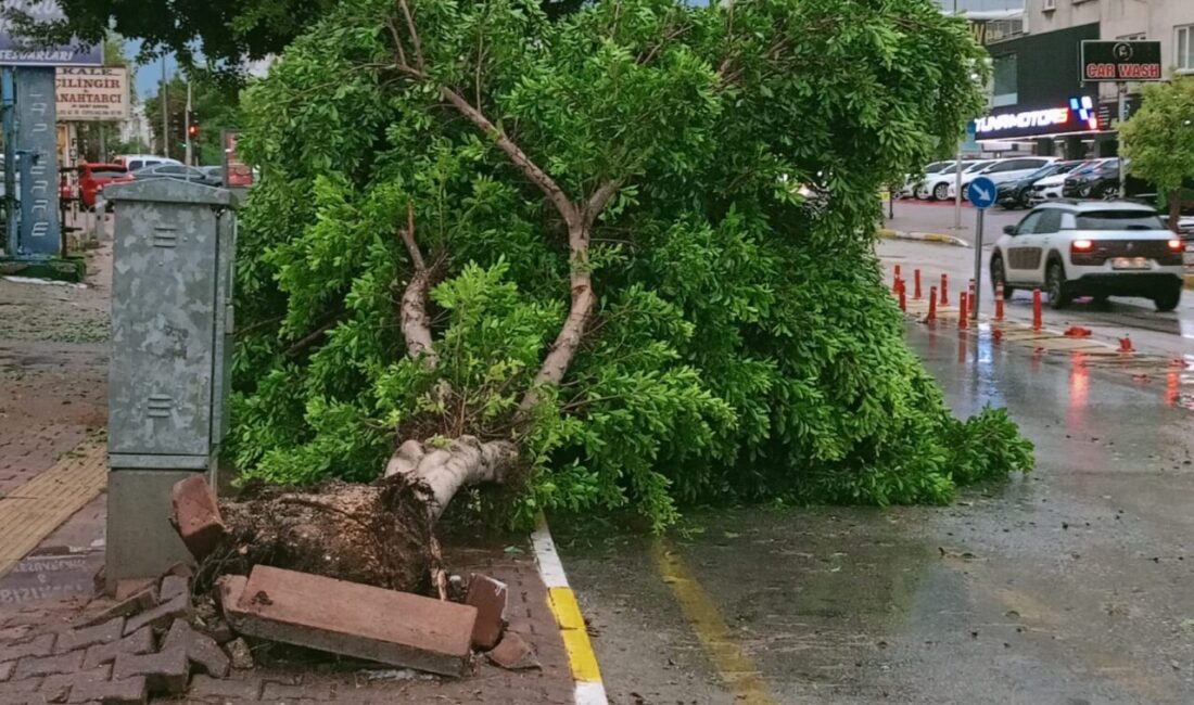 Antalya'da etkili olan sağanak ve dolu nedeniyle reklam panoları, ağaçlar