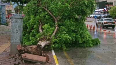 Antalya'da etkili olan sağanak ve dolu nedeniyle reklam panoları, ağaçlar