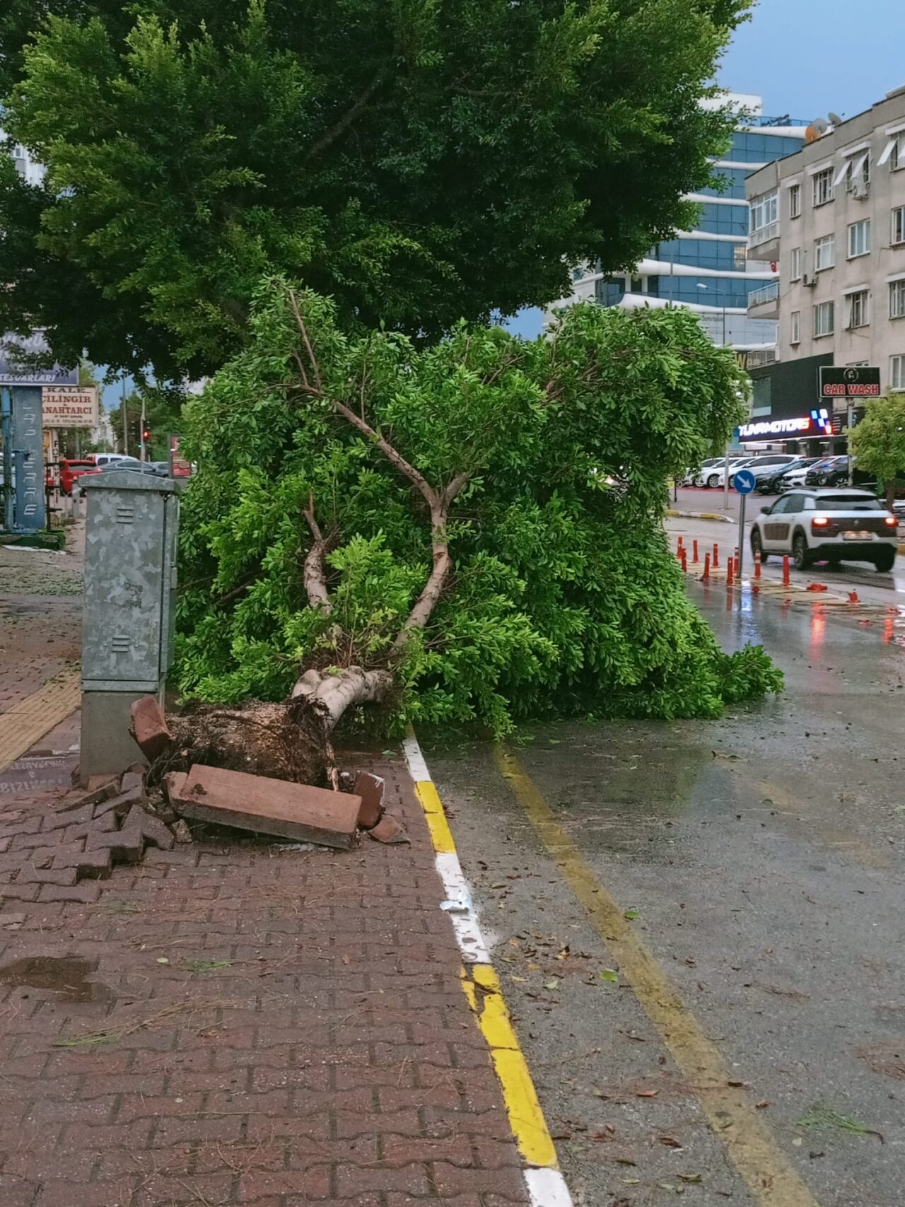 Antalya'da etkili olan sağanak ve dolu nedeniyle reklam panoları, ağaçlar