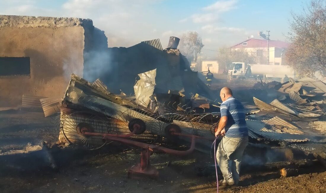 Ardahan'da ahırda çıkan yangında 15'i küçük, 23 hayvan telef oldu.