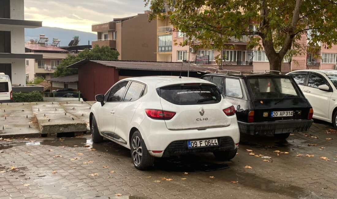 Aydın'ın Kuyucak ilçesinde 4 yaşındaki torununu kurtarmak isterken otomobilin altında