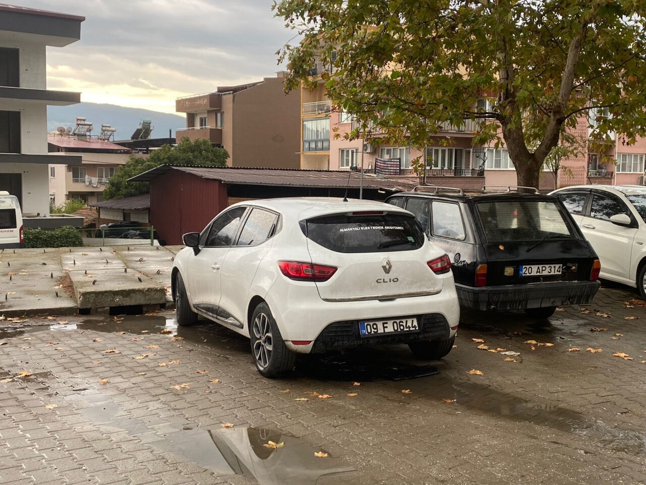 Aydın'ın Kuyucak ilçesinde 4 yaşındaki torununu kurtarmak isterken otomobilin altında