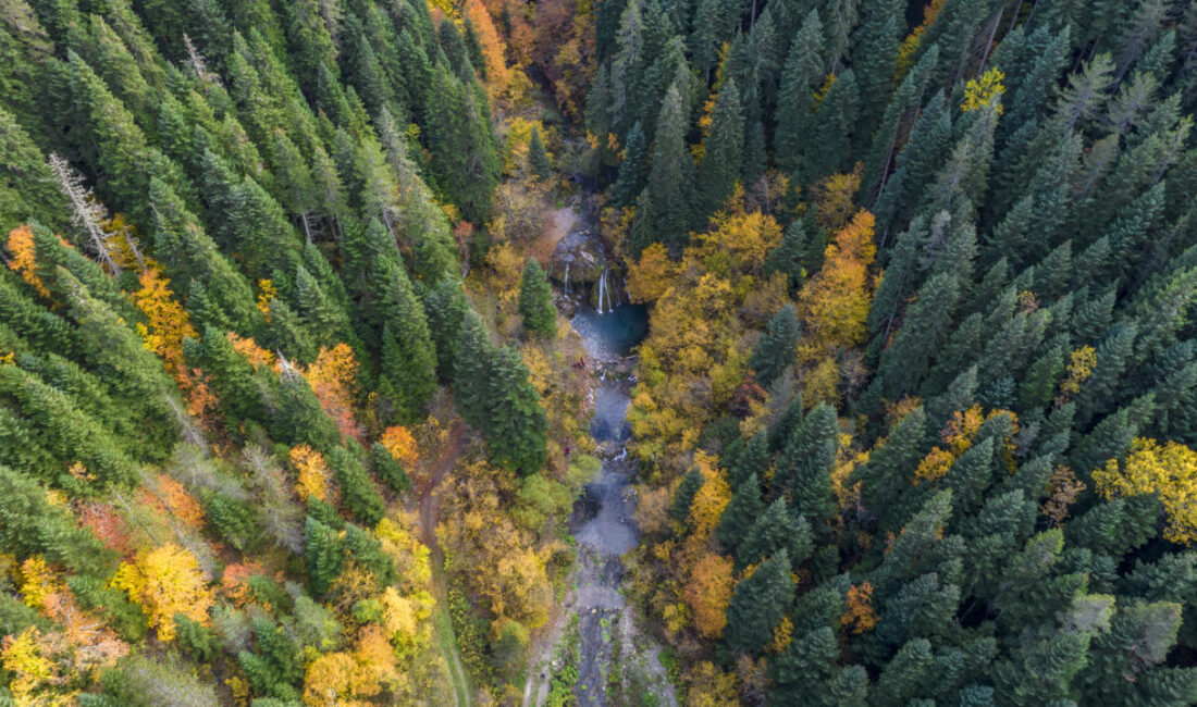  Kastamonu'nun doğal güzellikleriyle ünlü Azdavay ilçesindeki Saray Şelalesi, sonbaharın renkleri