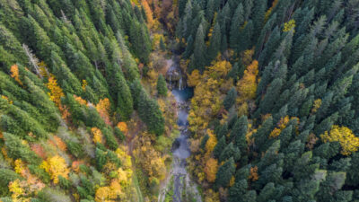  Kastamonu'nun doğal güzellikleriyle ünlü Azdavay ilçesindeki Saray Şelalesi, sonbaharın renkleri