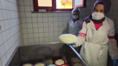 Balıkesir'in Sındırgı ilçesinde, Sanayi ve Teknoloji Bakanlığı koordinasyonunda "50 Peynirli