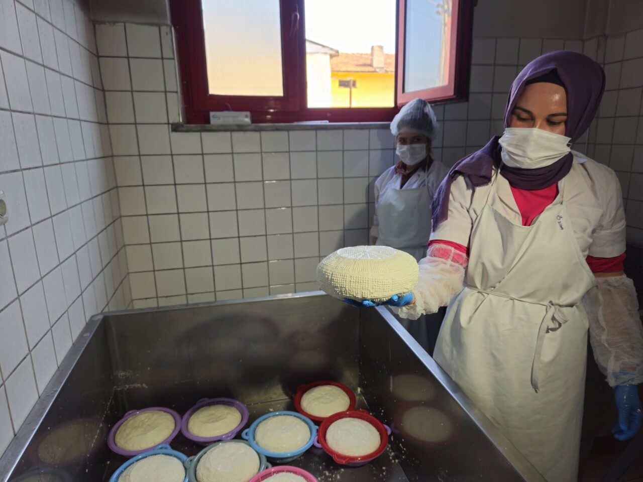 Balıkesir'in Sındırgı ilçesinde, Sanayi ve Teknoloji Bakanlığı koordinasyonunda "50 Peynirli