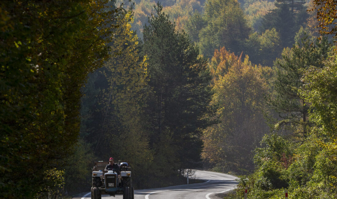  Doğal güzellikleriyle her mevsim ayrı güzelliğe bürünen Bolu'da, ormanlık alanlar