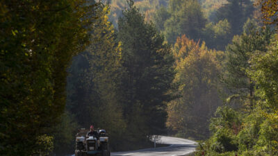  Doğal güzellikleriyle her mevsim ayrı güzelliğe bürünen Bolu'da, ormanlık alanlar
