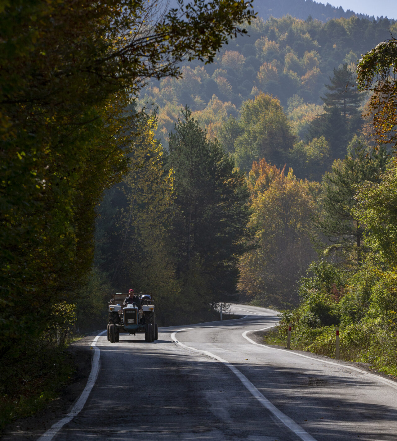  Doğal güzellikleriyle her mevsim ayrı güzelliğe bürünen Bolu'da, ormanlık alanlar
