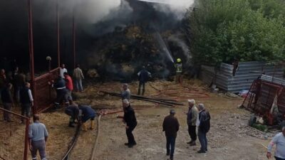 Bursa'nın Nilüfer ilçesindeki bir ahırda çıkan yangında 170 küçükbaş hayvan