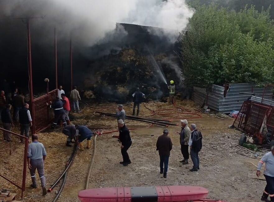 Bursa'nın Nilüfer ilçesindeki bir ahırda çıkan yangında 170 küçükbaş hayvan