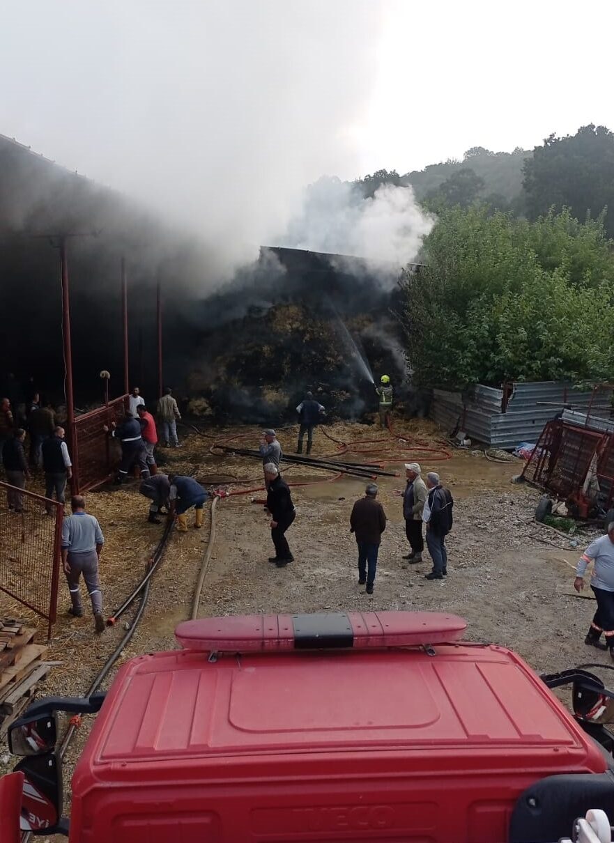 Bursa'nın Nilüfer ilçesindeki bir ahırda çıkan yangında 170 küçükbaş hayvan